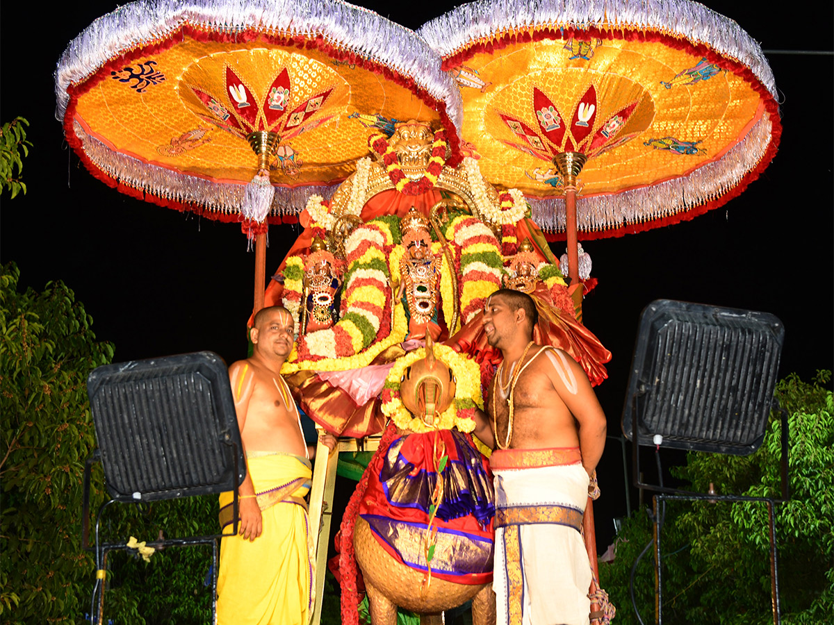 Annual Brahmotsavams of Vontimitta Kodandarama Swamy  - Sakshi