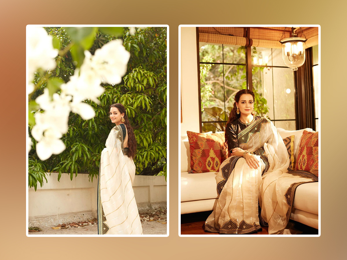 Dia Mirza Rekhi Shines Like A Queen In White Saree - Sakshi