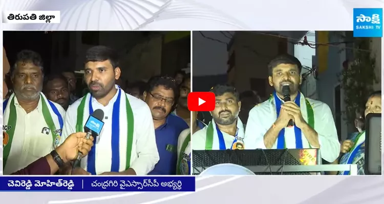 Chevireddy Mohith Reddy About TDP Manifesto 