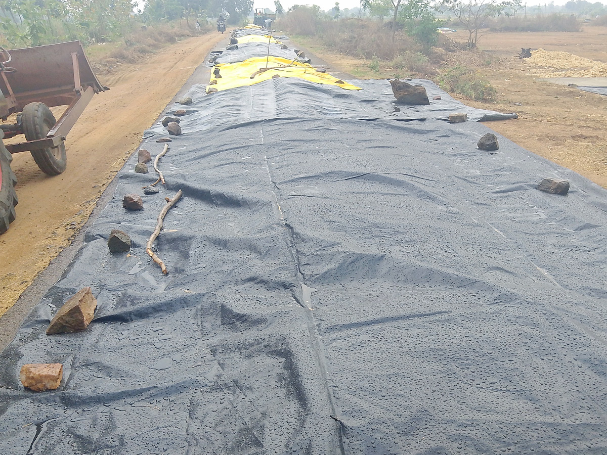 Crops Damage Due to Unexpected Rain in Telangana Photos - Sakshi12