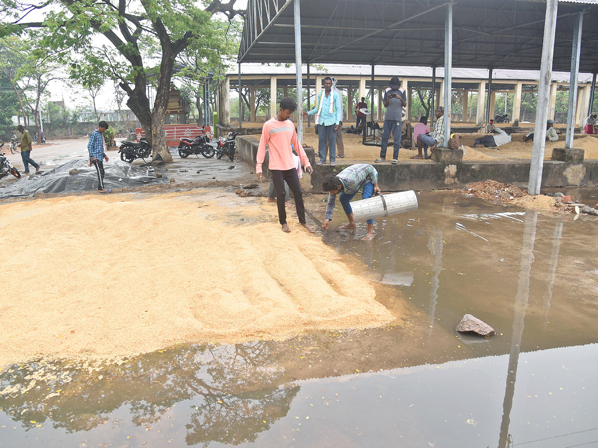 Crops Damage Due to Unexpected Rain in Telangana Photos - Sakshi20