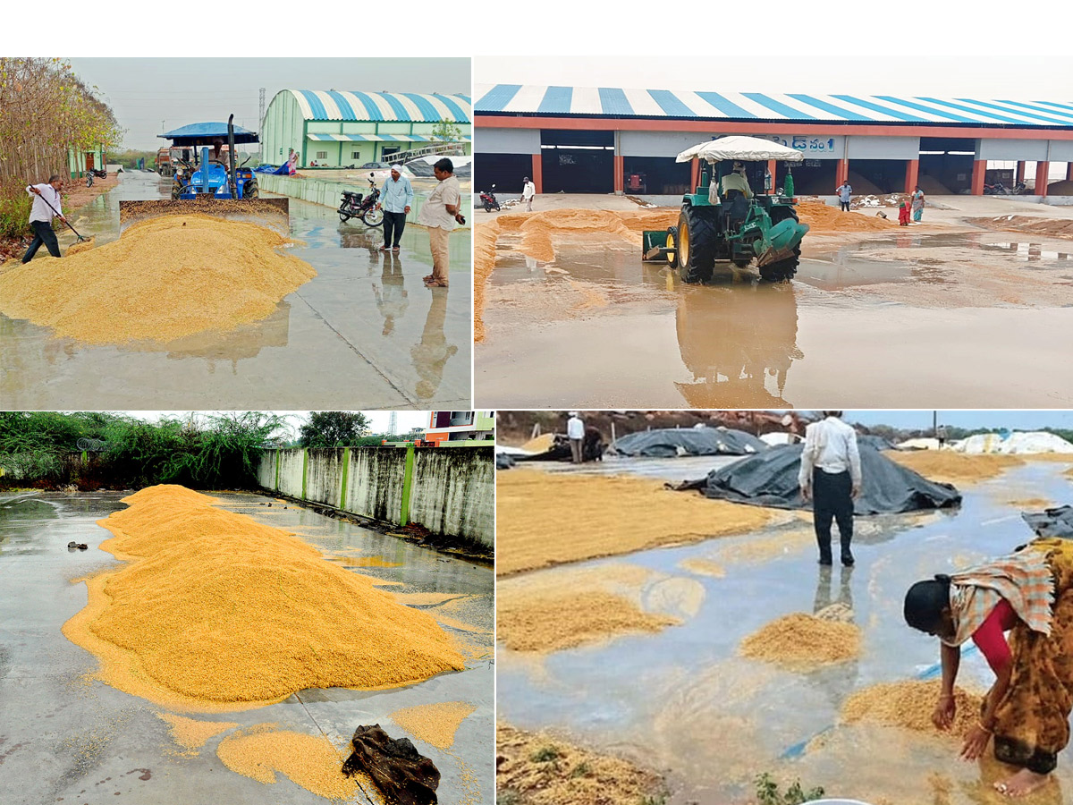 Crops Damage Due to Unexpected Rain in Telangana Photos - Sakshi1