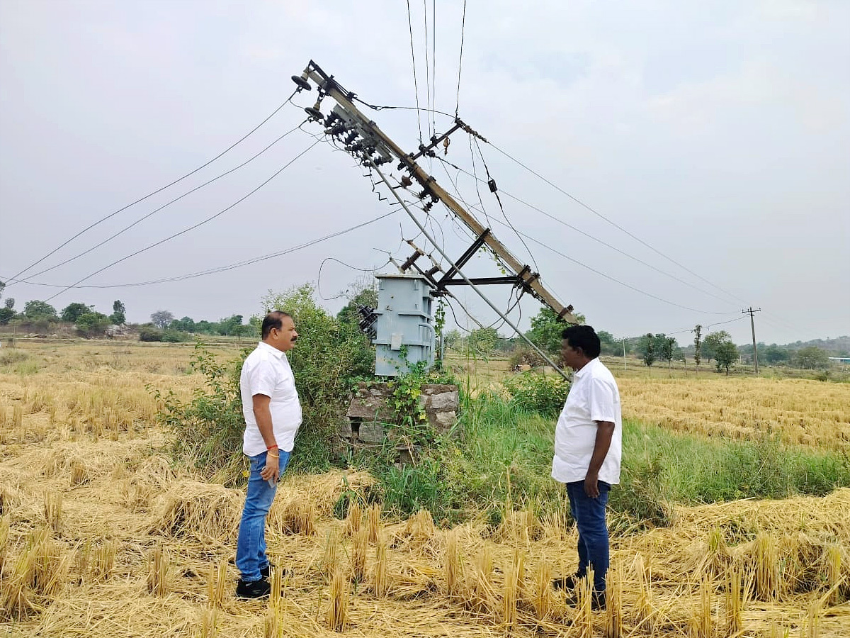 Crops Damage Due to Unexpected Rain in Telangana Photos - Sakshi6