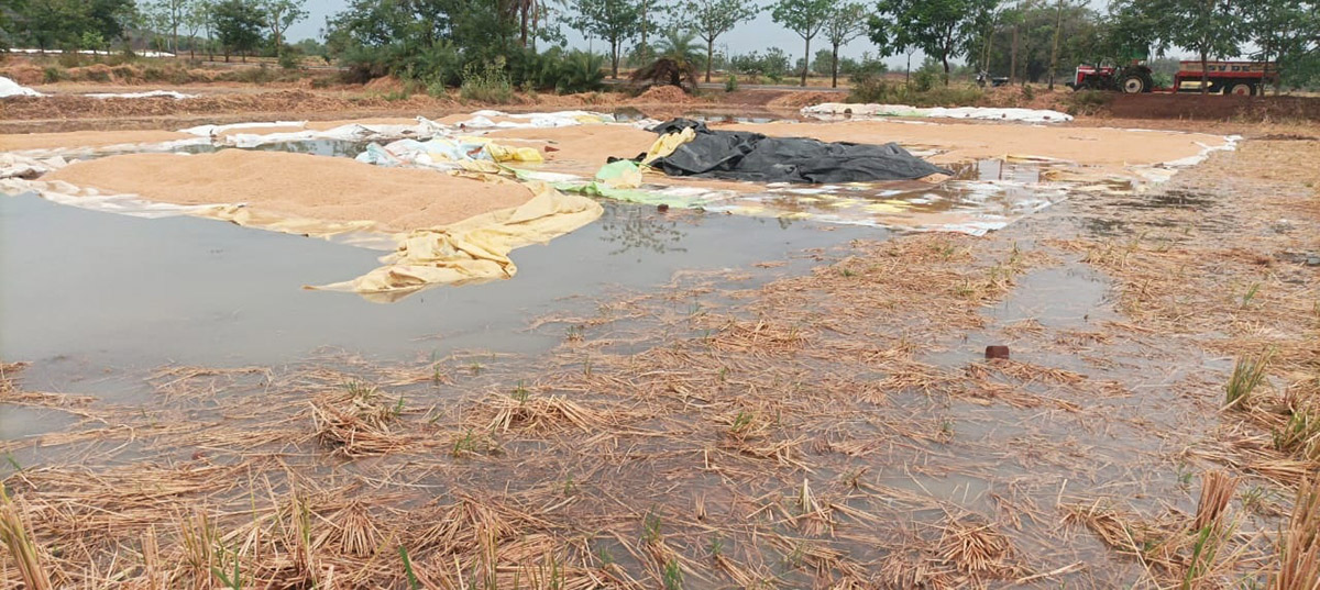 Heavy Rains in Telangana Today Photos - Sakshi11