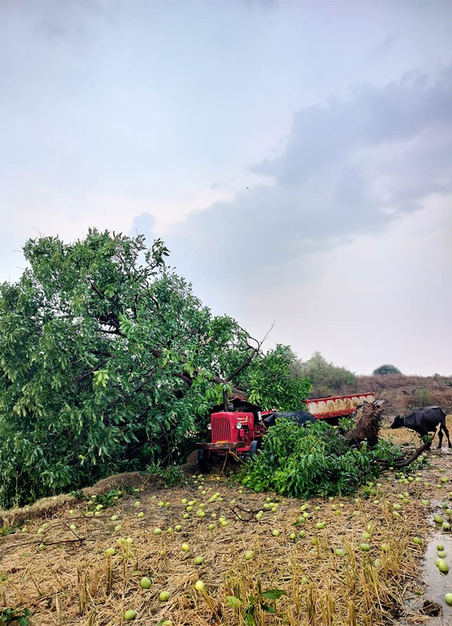 Heavy Rains in Telangana Today Photos - Sakshi22