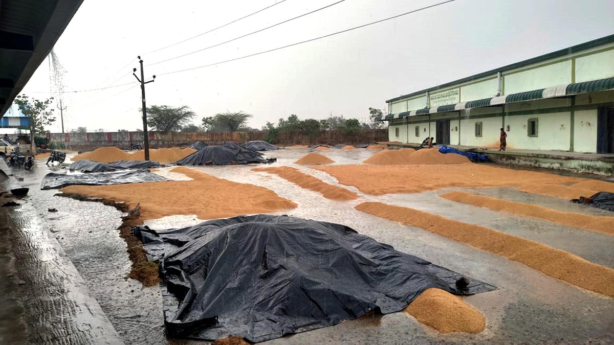 Heavy Rains in Telangana Today Photos - Sakshi5