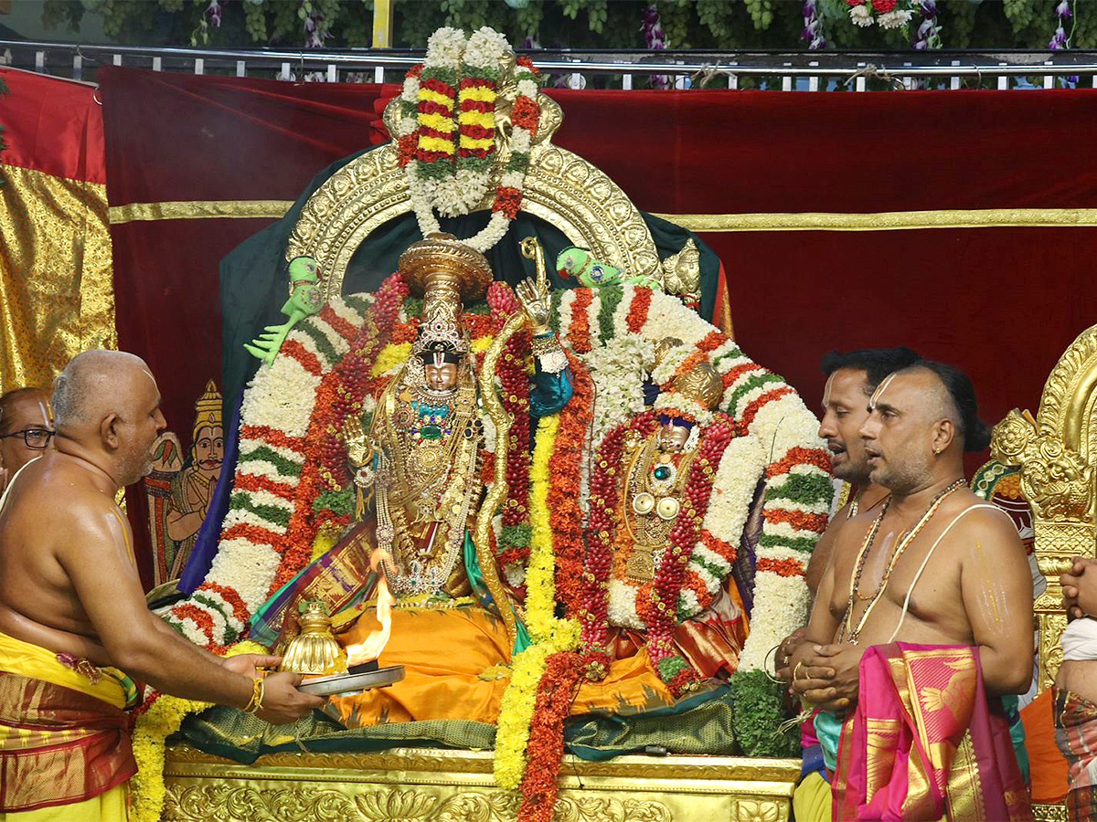 Sri Kodandarama Swamy Kalyanam Vontimitta Photos - Sakshi1