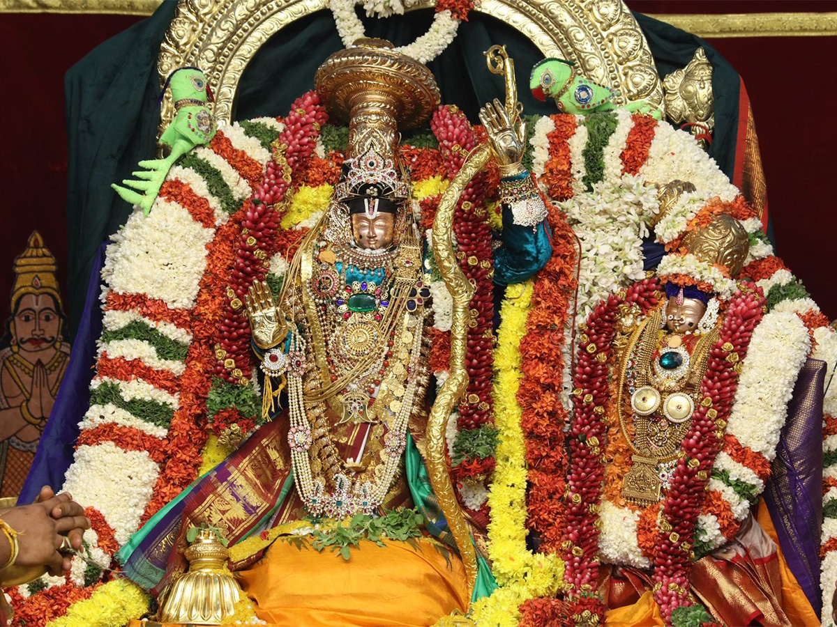 Sri Kodandarama Swamy Kalyanam Vontimitta Photos - Sakshi12