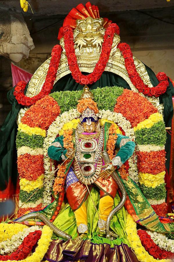 Sri Kodandarama Swamy Kalyanam Vontimitta Photos - Sakshi9