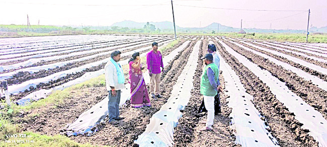 విద్యుత్‌ సమస్యల పరిష్కారానికి ప్రాధాన్యత 1