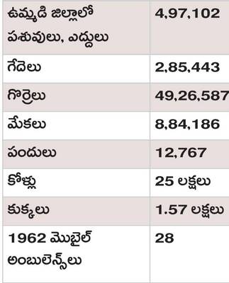 1962 హెల్ప్‌లైన్‌ మూగబోయింది. మొబైల్‌ వెటర్నరీ క్లినిక్1